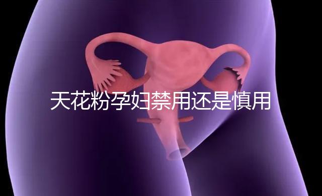 天花粉孕婦禁用還是慎用好看這，5個月不小心吃了有影響