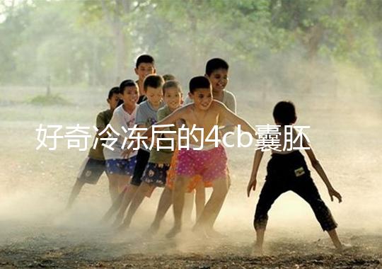 好奇冷凍后的4cb囊胚移植幾天著床看這，第七天別還不敢測