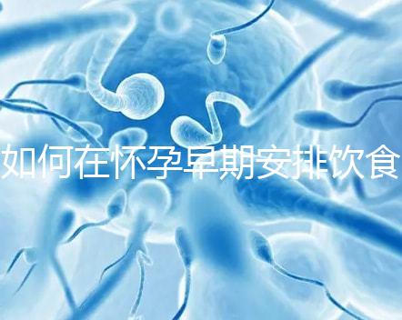 如何在懷孕早期安排飲食？