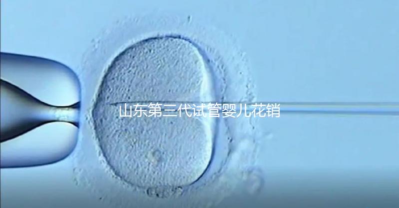 山東第三代試管嬰兒花銷全解析：詳細價格一覽，輕松做好預算準備