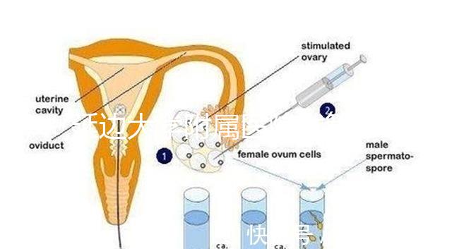 延邊大學附屬醫院試管怎么樣，助孕成功率、收費目錄表奉上