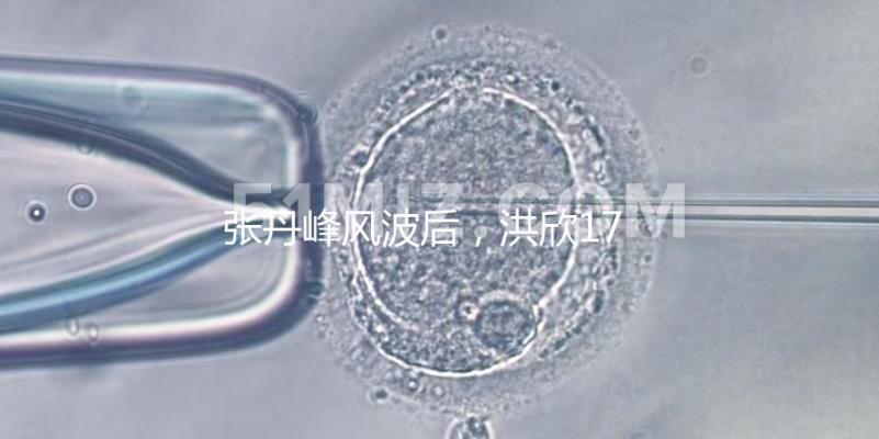 張丹峰風波后，洪欣17歲兒子表白媽媽一家人疑似和好如初