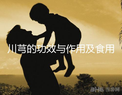 川芎的功效與作用及食用方法(川芎對男性性功能影響)