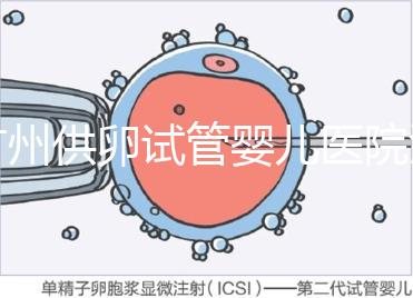 廣州供卵試管嬰兒醫院匯總，真實案例告訴你廣東哪家最好