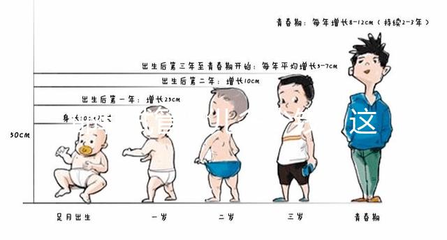 邯鄲試管嬰兒多少錢？這些醫院都能做成功率還不低！