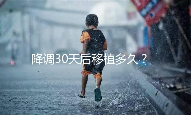 降調30天后移植多久？什么時候可以同房喝酒？