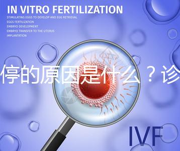 胎停的原因是什么?診斷鑒別80%是精子問(wèn)題