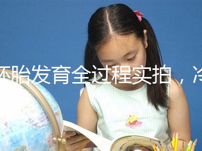 胚胎發(fā)育全過程實(shí)拍，冷凍胚胎移植后著床圖解（視頻）