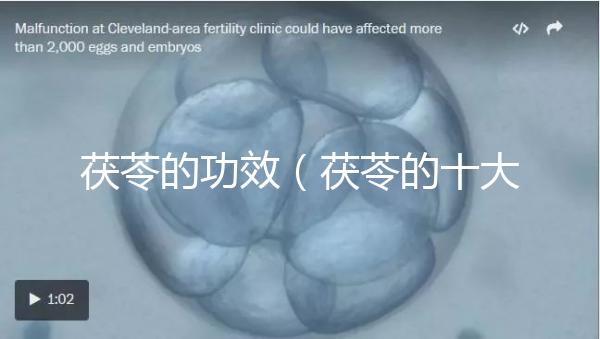 茯苓的功效（茯苓的十大功效與作用）