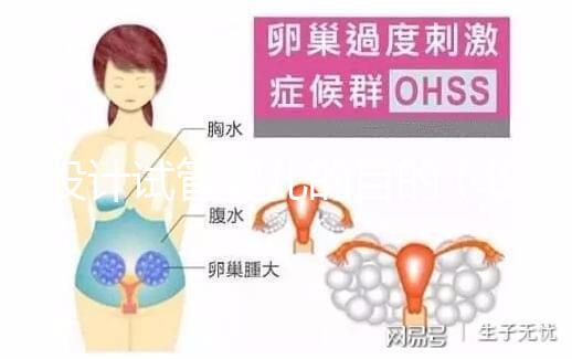 設計試管嬰兒的目的（設計試管嬰兒的目的是解決白血病）