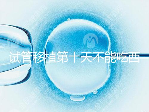 試管移植第十天不能吃西瓜！影響胚胎發(fā)育可不是玩笑話