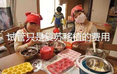 試管只是復(fù)蘇移植的費用并不高,看這就知道大概多少錢