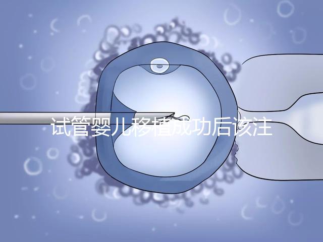 試管嬰兒移植成功后該注意哪些保胎事項？