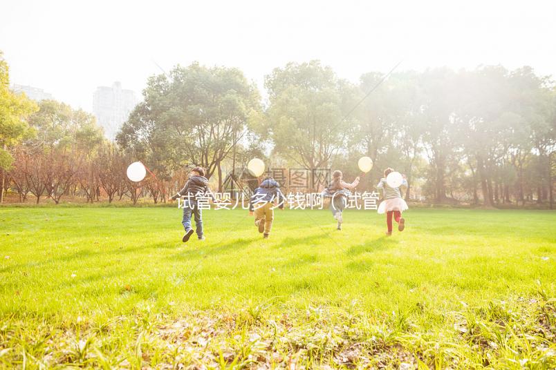 試管嬰兒多少錢?。ㄔ嚬軏雰憾嗌馘X啊一般來說）