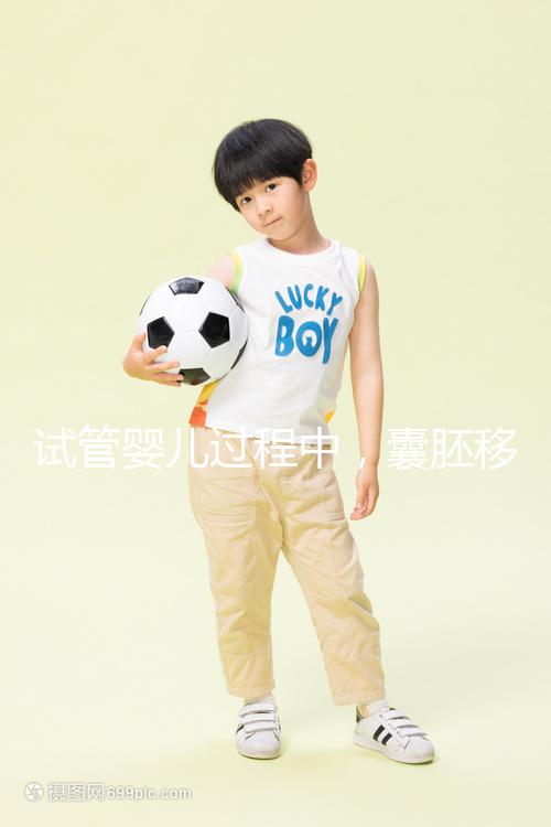 試管嬰兒過程中，囊胚移植和鮮胚移植到底哪個(gè)更好？