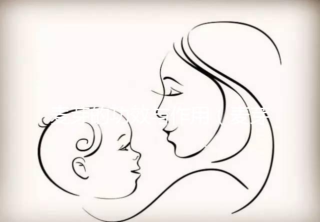 麥芽的功效與作用(麥芽的功效與作用和主治)