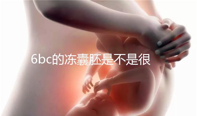 6bc的凍囊胚是不是很差?3分鐘帶你了解胚胎質(zhì)量和級別