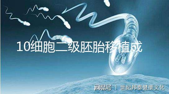 10細胞二級胚胎移植成功率解析，應不應該養囊答案在這