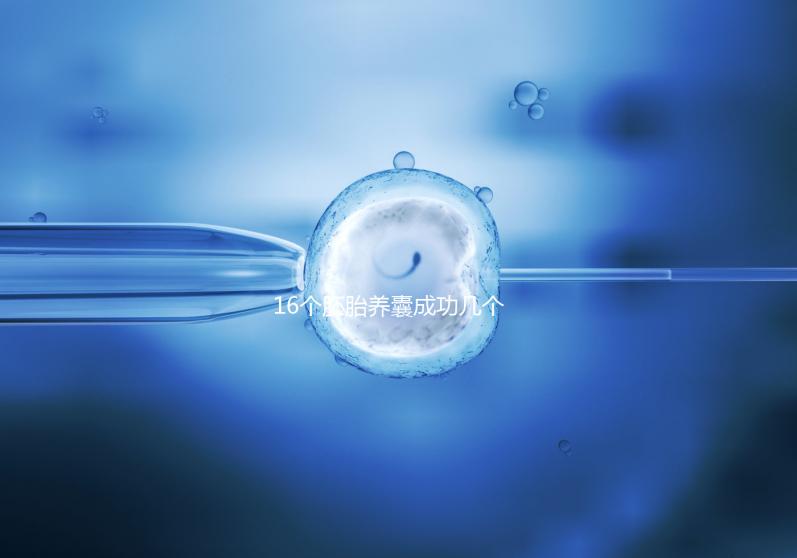 16個胚胎養(yǎng)囊成功幾個說不準(zhǔn)，11個概率高不高真不一定