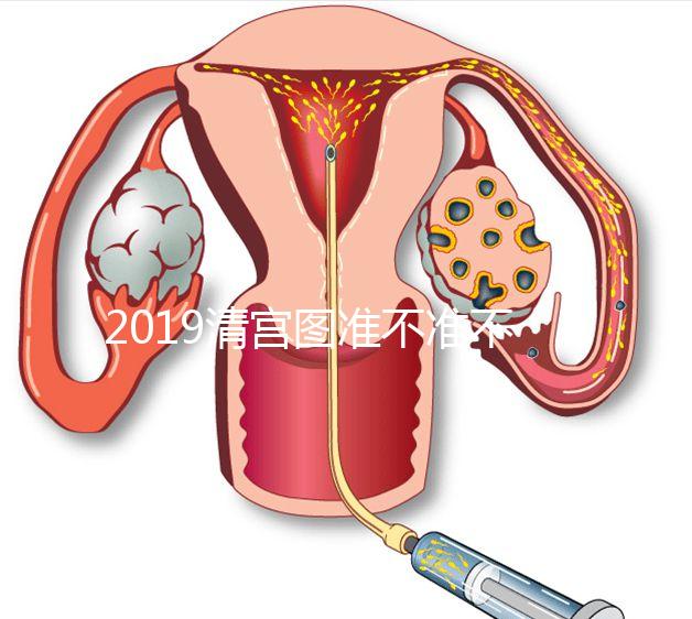2019清宮圖準(zhǔn)不準(zhǔn)不知道,但檢測生男女這3種方法才科學(xué)