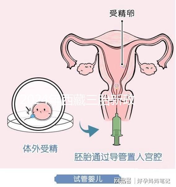 2024年西藏三胎新政策出臺,拉薩、日喀則產(chǎn)假戳多久?