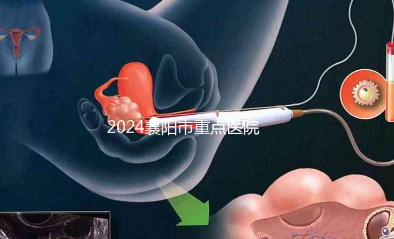 2024襄陽市重點醫(yī)院試管嬰兒費用明細，各項收費標準已列出